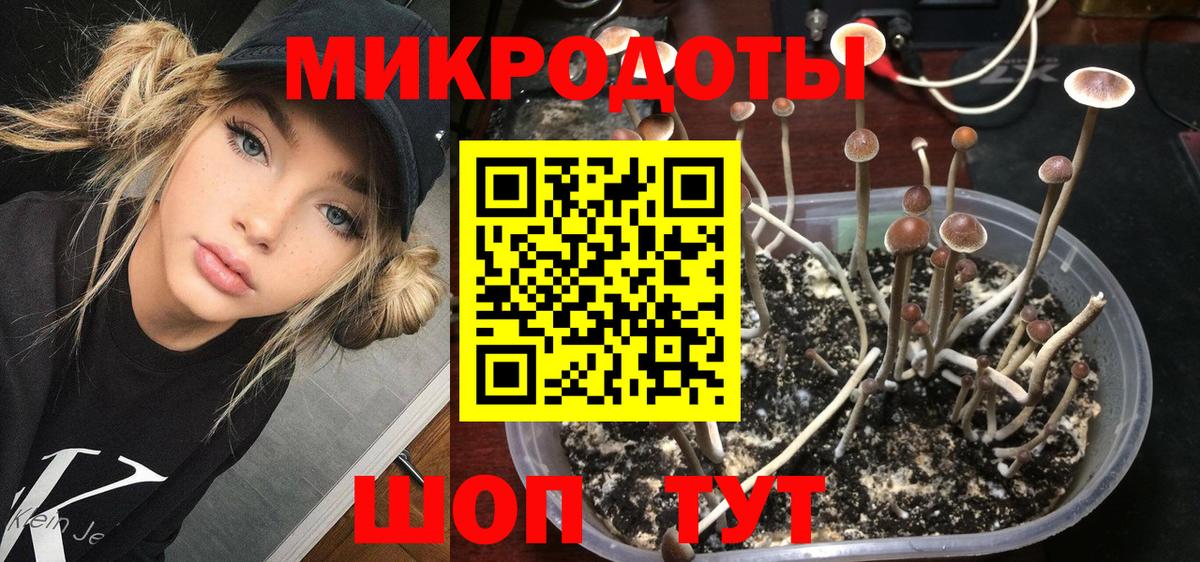 Шахты  Псилоцибиновые грибы ЛСД  Вход с VPN 